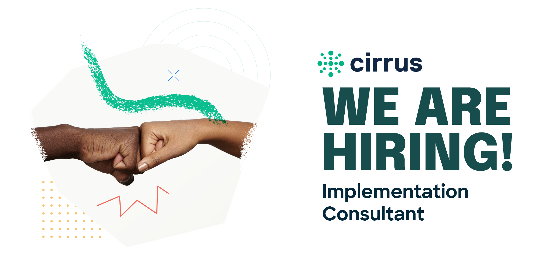 Cirrus implementation consultant